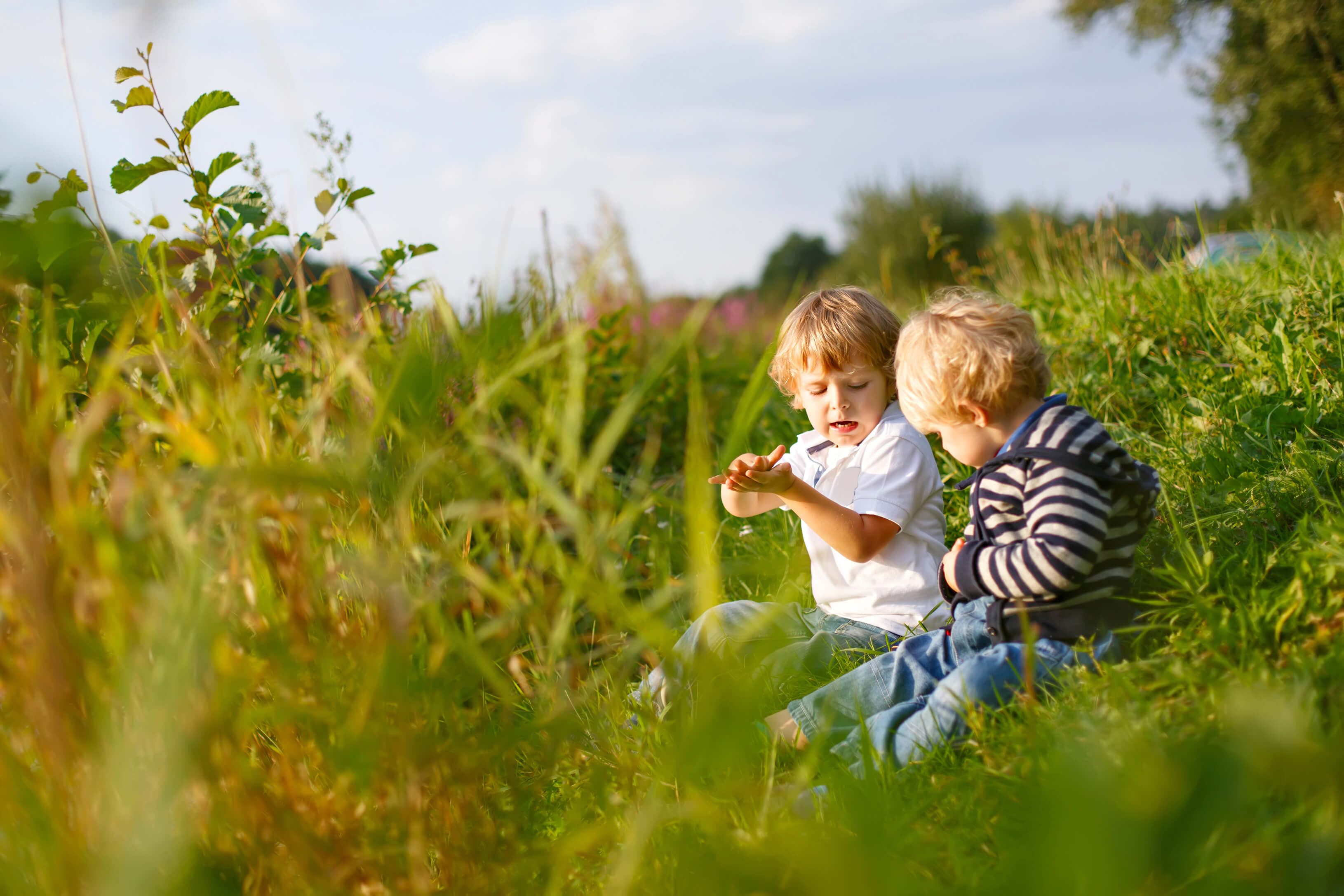 Kleinkinder in der Natur beim Spielen